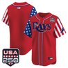 Men's Tampa Bay Rays "America 250 Edition" Vapor Premier Limited Jersey - All Stitched
