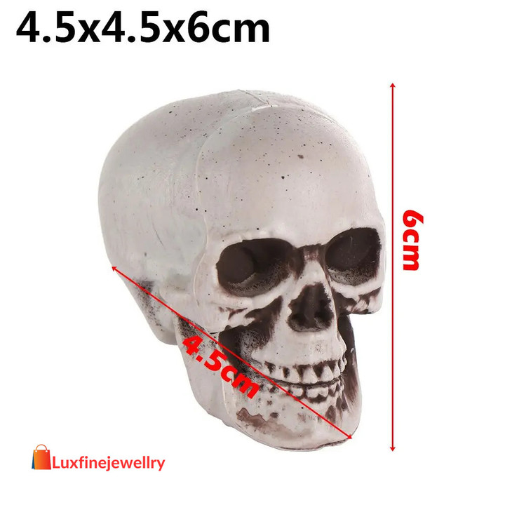 All Size Human Skull Head Skeleton Halloween Style Photo Prop Home Party Decor Game Supplies