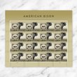 2026 American Bison