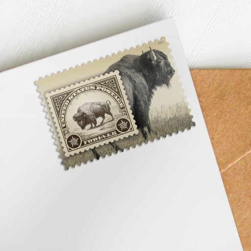 2026 American Bison