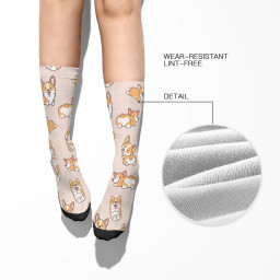 Corgi Socks for Men Woman