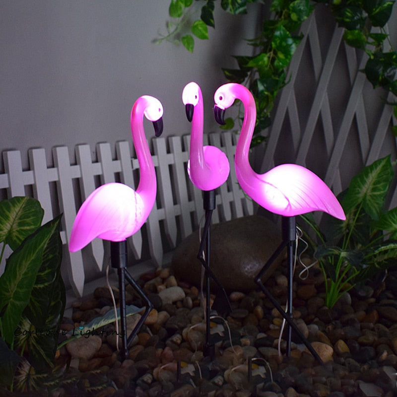 Flamingo Lover 