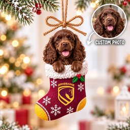 NRL Custom Pet Photo Ornament New Christmas Gifts
