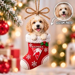AFL Custom Pet Photo Ornament New Christmas Gifts
