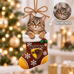 AFL Custom Pet Photo Ornament New Christmas Gifts