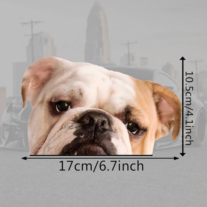 English Bulldog Car Sticker
