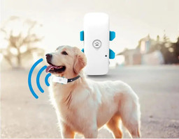 Osmo DoggoFind GPS Collar