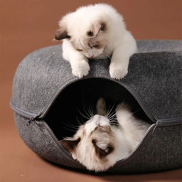 “Hide-And-Seek” Wendy Cat Tunnel Bed