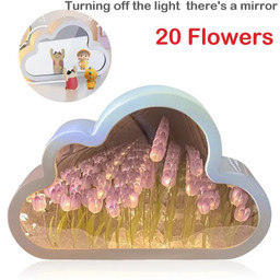 Tulip Clouds Infinity Mirror