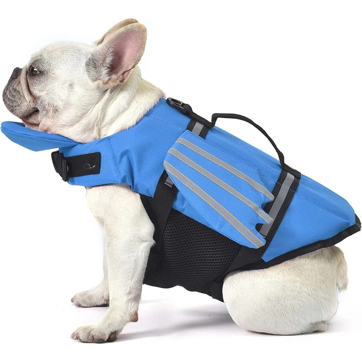 Frenchie Shark Fin Safety Vest