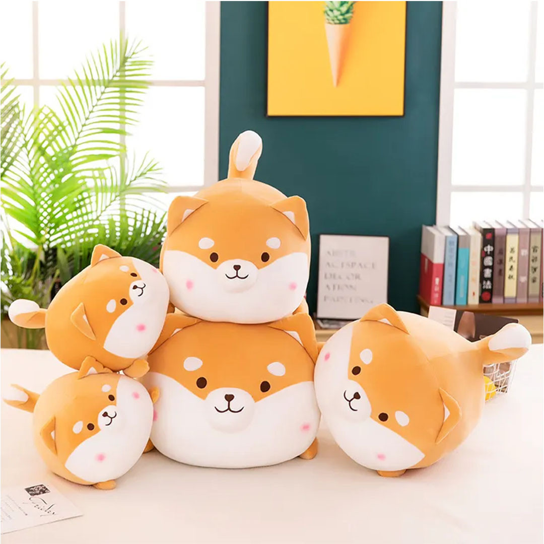 Corgi