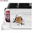 Three Ratels i657 funny red Maine Coon cat decorations sticker auto decoration decals vinyl material