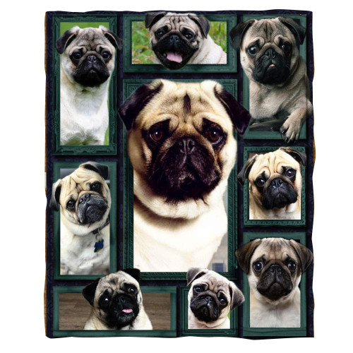 Pug Dogs Funny Puppy Fuzzy Flannel Blanket Throw Super Soft Blanket for Couch Chair Sofa Bed Sheet Bedspread Cartoon Animals