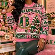 KNIT CREWNECK SWEATER HANNN TND AKA 2110263