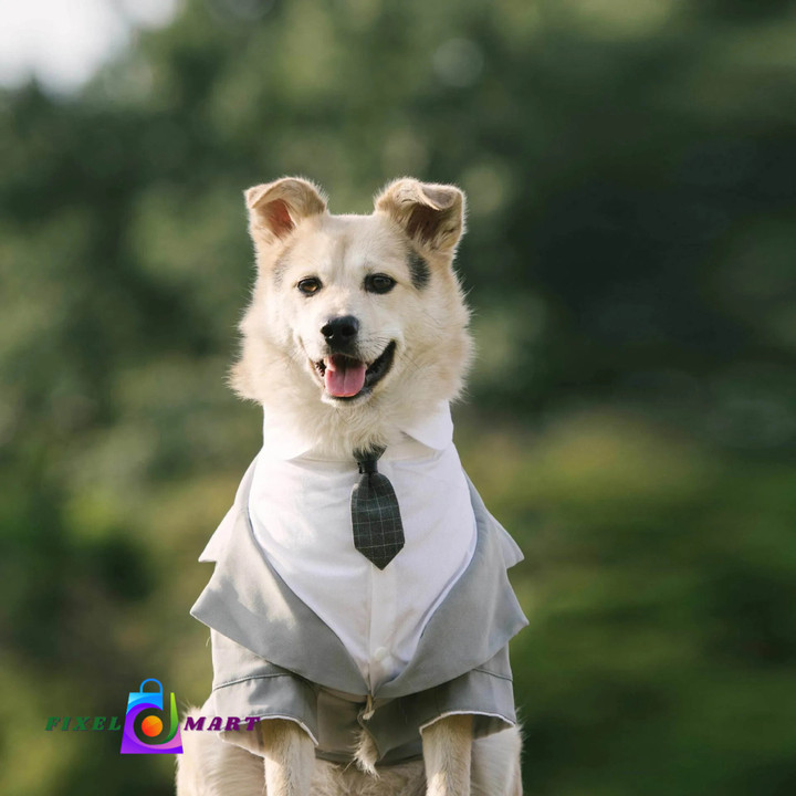 Wedding Wedding Pet Tuxedo Fake Two Piece Tie Suit Corgi Chai Suit Wedding Pet Dress