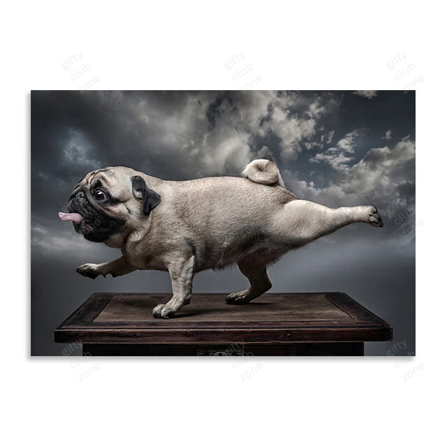 Dog Pug Canvas Art Prints, 001
