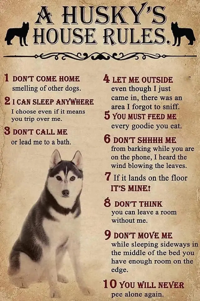 Husky Metal Sign