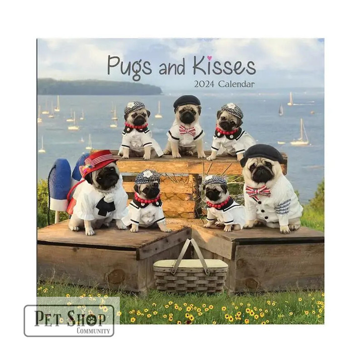 Cute Dog 2024 Calendar Puppies Monthly Wall Calendars 12 X 12Inch Cute Pug Images Monthly Wall Calendars Family Planner & Daily