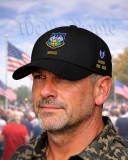 North American Aerospace Defense Command (NORAD) Veteran Embroidered Cap - 2800 - Embroidered Classic Cap Red mockup