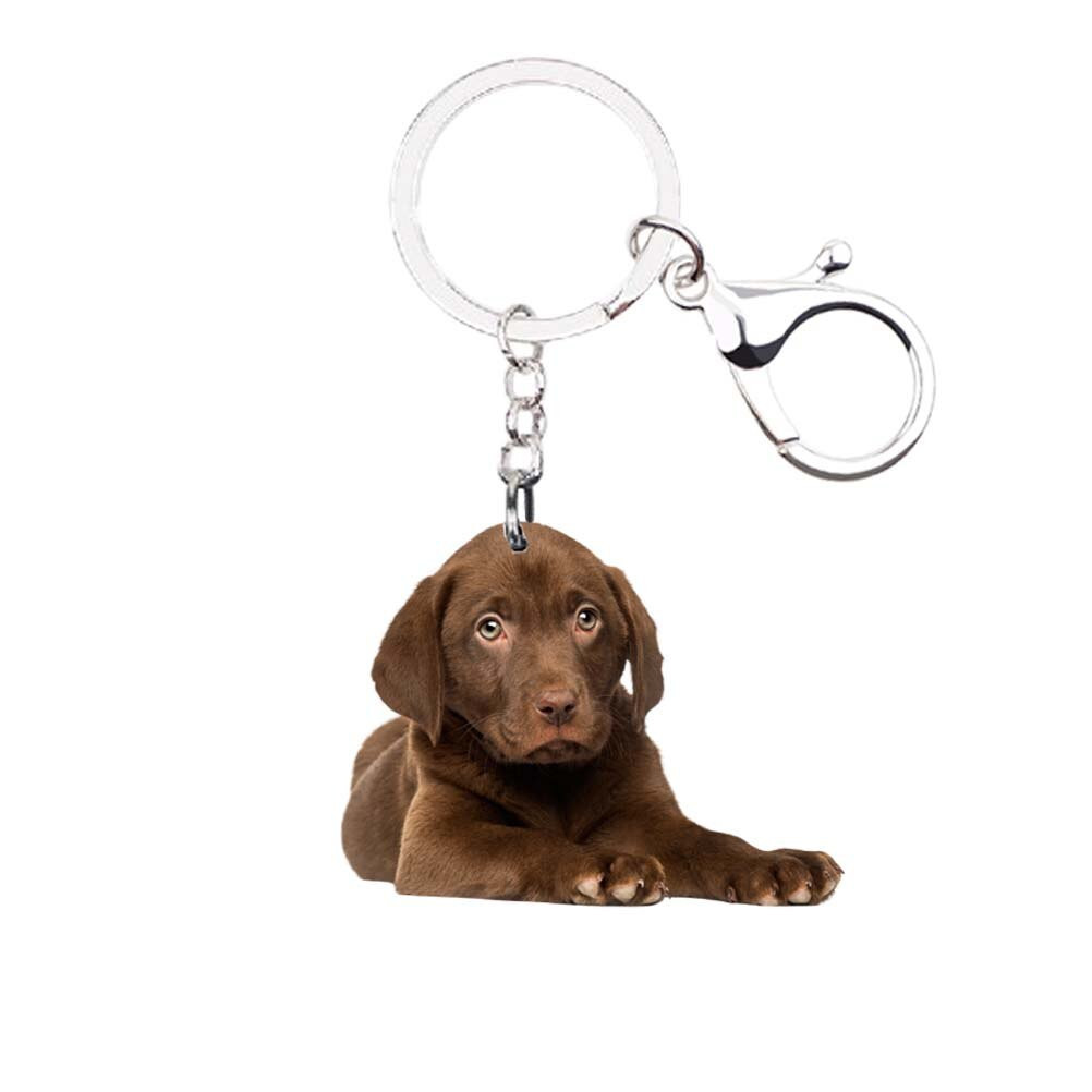 Labrador Retriever Keychain - classic gift shop