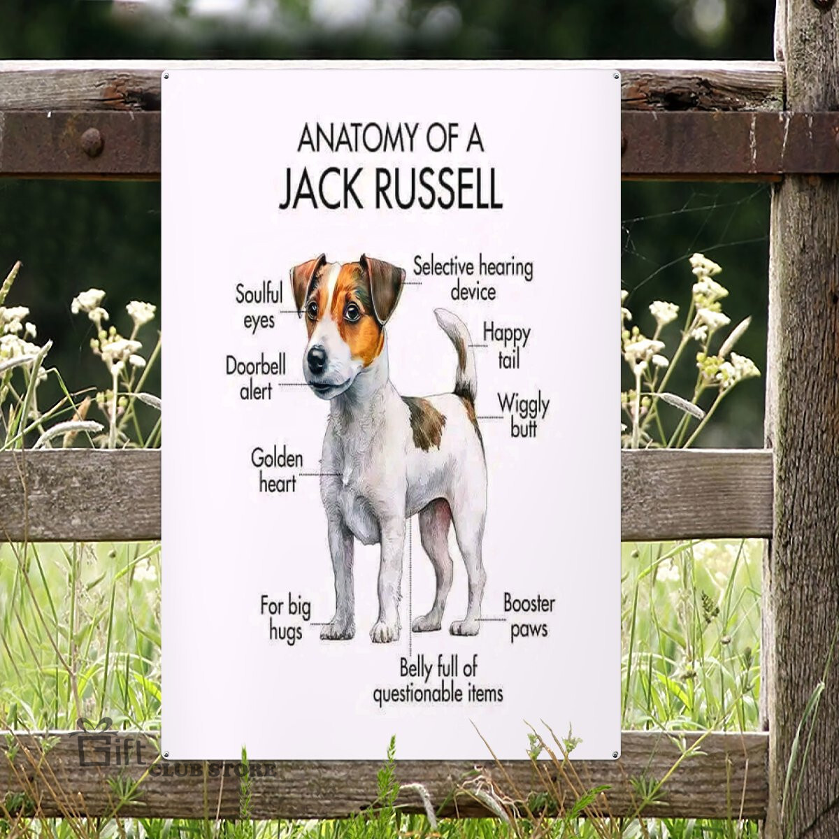 Premium Jack Russell knowledge metal sign - giftclubstore