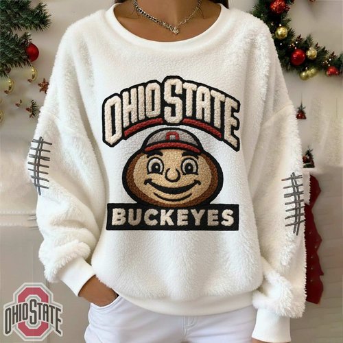 PREMIUM SWEATSHIRT HCT APT OHST 2611252