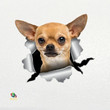 Chihuahua Car Sticker