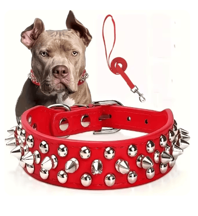 Pit-bull  Accessories