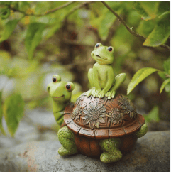 Turtle Accessories