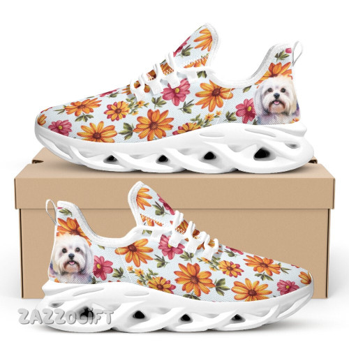 Shoes for Maltese Lovers