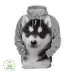 Alaskan Malamute 4 - Unisex 3D Graphic Hoodie