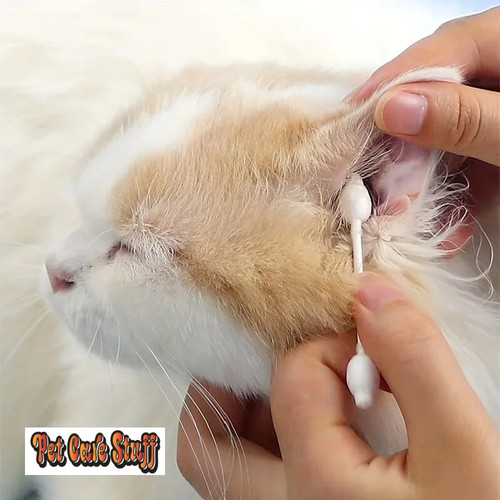 55pcs Double Head Disposable Pet Cotton Swabs Gourd Shaped Cat Ear Care Cotton Sticks Ear Cotton swab Removal Pet Clean Products