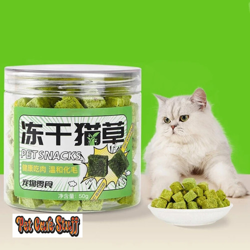 Natural Cat Grass Wheatgrass Chewing Snacks Keep Your Cat Active and Happy Promote Dental Care Wheatgrass for Kitten