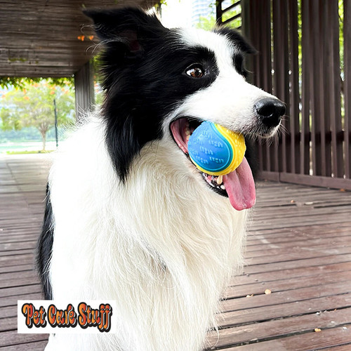 Dogs Interactive Toys Soft TPR Toys 10736346