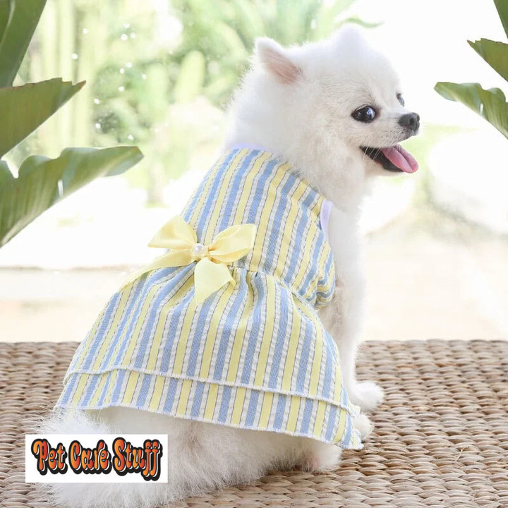 Puppy vertical striped butterfly skirt summer Pet dog skirt princess dog wedding dress cat skirt Shih Tzu dog clothes
