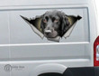 Cocker Spaniel car sticker
