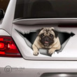 Pug Funny Car Sticker