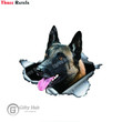 Belgian Malinois Car Sticker