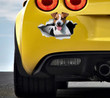 Jack Russell terrier car sticker