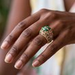 PREMIUM RING HCT APT AKA 1610263
