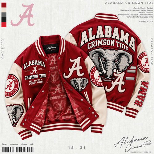 Baseball Jacket HCT APT ALCR 2809266