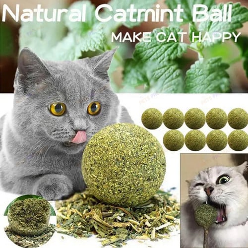 Pet Catnip Toys Edible Catnip Ball Safety Healthy CatMint Cats Home Chasing Game Toy Products Clean Teeth And Stomach Cat Mint