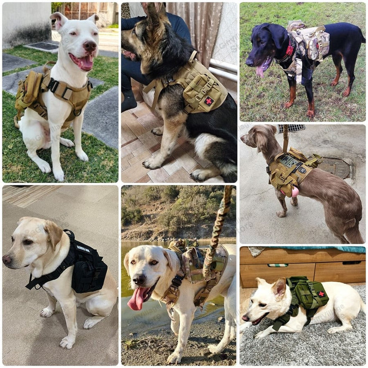 All Dog Harness Collection