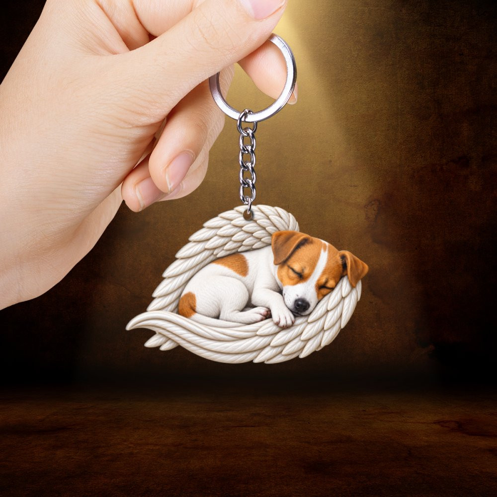 Jack Russell Collection