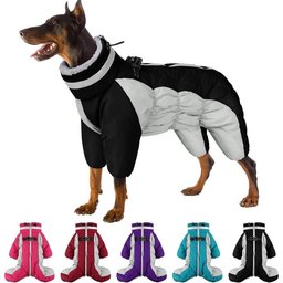 Dog wearing black and white waterproof dog snowsuit with five color options