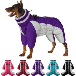 Dog wearing purple waterproof dog snowsuit with full-body coverage and color options