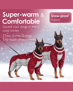 Two dogs wearing red waterproof dog snowsuits with built-in harness in snow