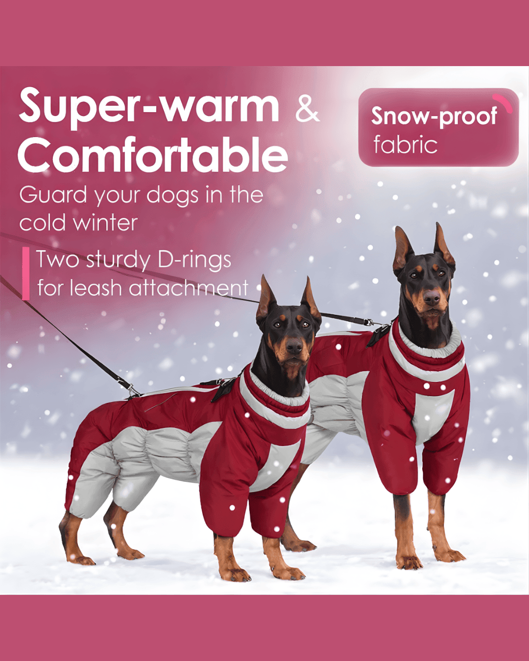 Two dogs wearing red waterproof dog snowsuits with built-in harness in snow