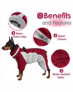 Waterproof dog snowsuit benefits and features infographic with warm plush collar and zipper closure