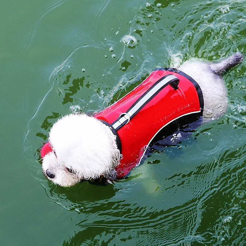 Dog wearing red life jacket swimming safely, traction handle visible for rescue — Doglito